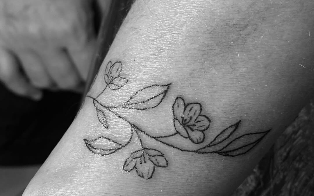 Fiori e Foglie