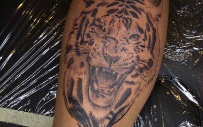 Una tigre che non graffia